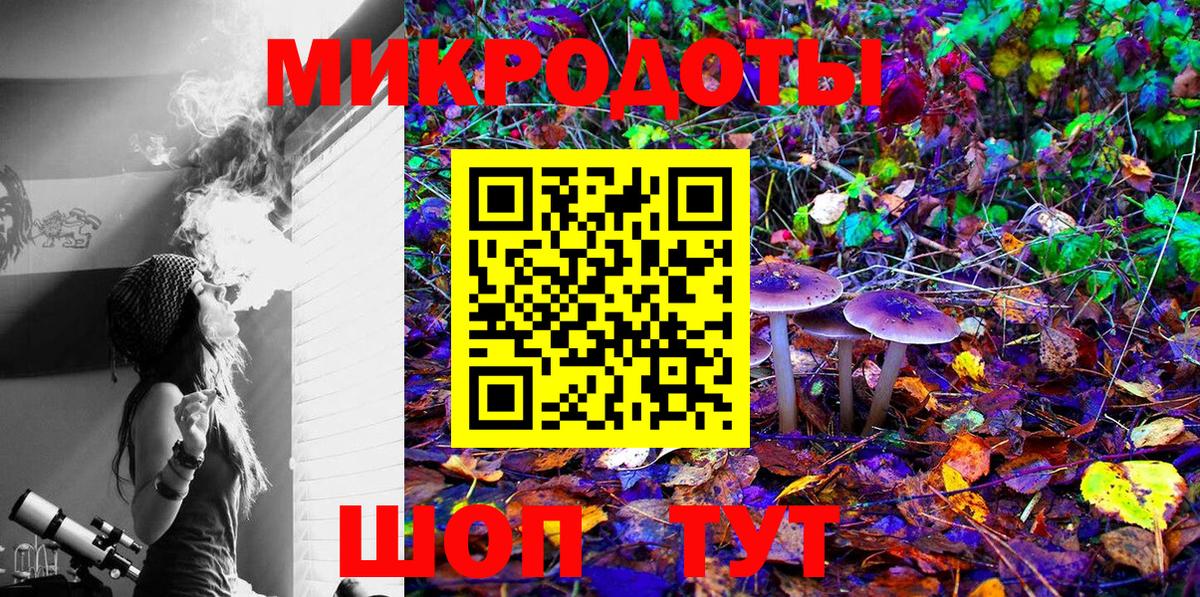 Галлюциногенные грибы Cubensis Тосно